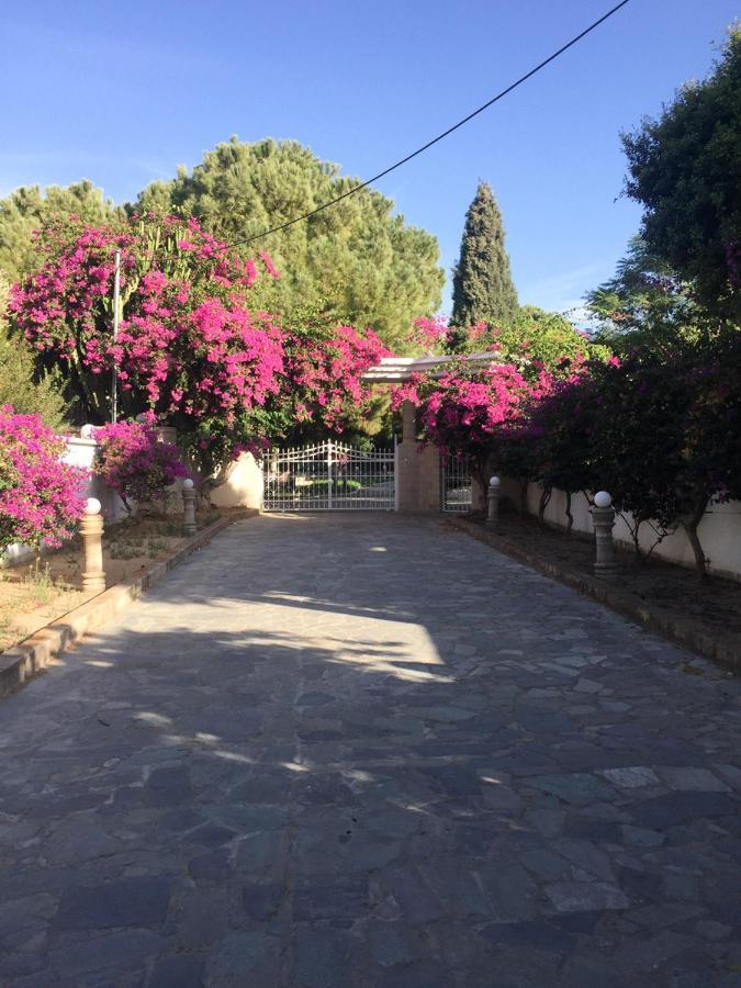Appartement Nostrana Village *